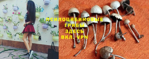 эйфоретик Алзамай