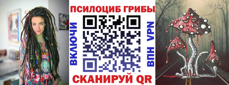 Псилоцибиновые грибы Cubensis  Рыльск 